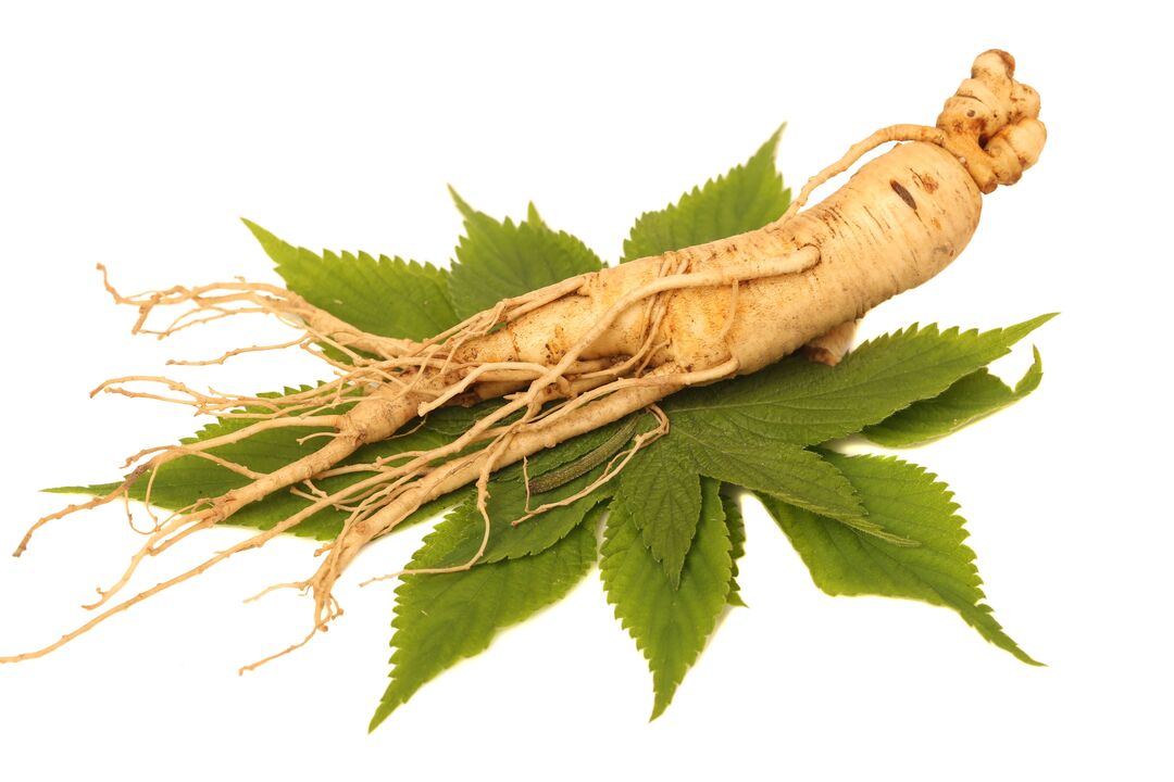 ginseng - ένα στοιχείο της σύνθεσης Alfazone